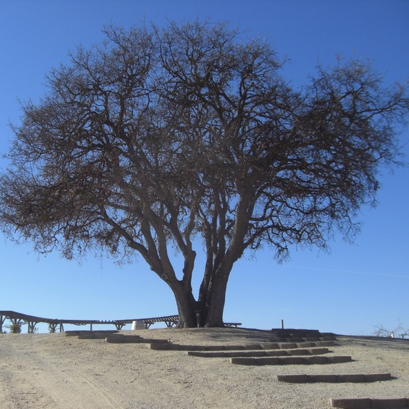 Meet your Posher, Marianne - Picture 4 of 6